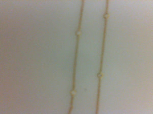 18K YG 10 RD DIA .25CTTW