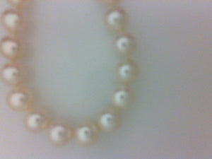 FW 8 1/2 X 8MM "AAA"24" SS PEARL CLASP