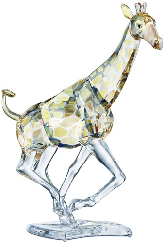 GIRAFFE BOX #: 4467