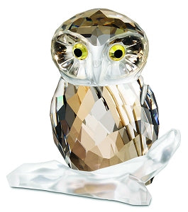 OWL MEDIUM