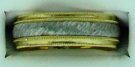 GTS 18K PLAT RING